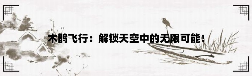 木鹊飞行：解锁天空中的无限可能！