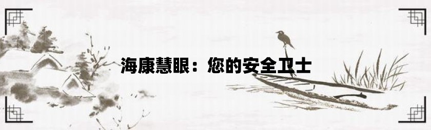 海康慧眼：您的安全卫士