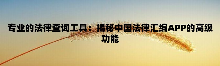 专业的法律查询工具：揭秘中国法律汇编app的高级功能