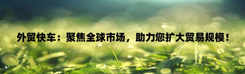 外贸快车：聚焦全球市场，助力您扩大贸易规模！