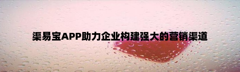 渠易宝app助力企业构建强大的营销渠道