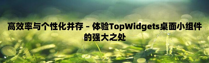 高效率与个性化并存 – 体验topwidgets桌面小组件的强大之处