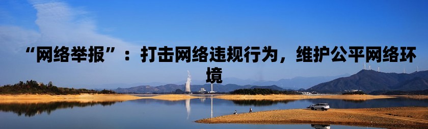 “网络举报”：打击网络违规行为，维护公平网络环境